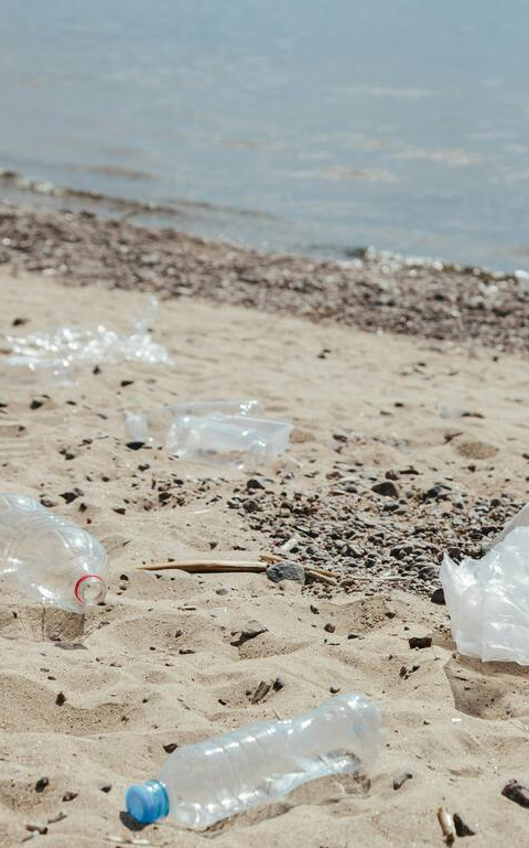 Limpieza ecol&oacute;gica: c&oacute;mo reducir tu huella pl&aacute;stica sin renunciar a la eficacia